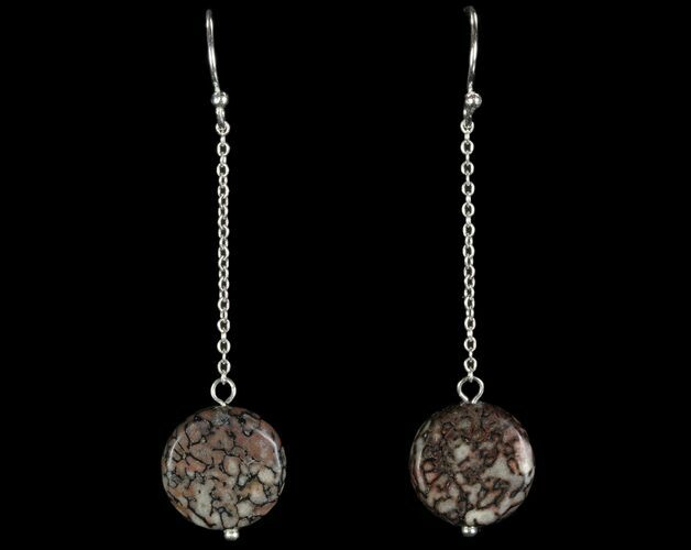 Polished Fossil Dinosaur Bone (Gembone) Earrings #93391